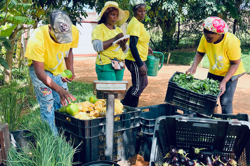 Ahorro en nutrición gracias a Humbi Farm