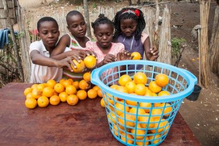 Blog de la Fundación Khanimambo - Nos gustan las naranjas